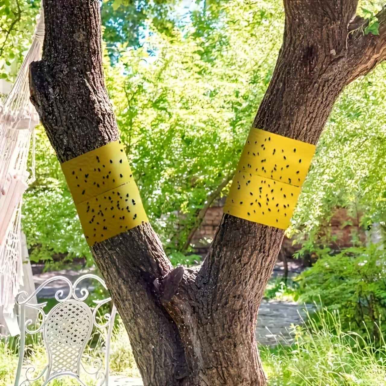 BarrierTape, lepilni trak za lovljenje žuželk - Image 3