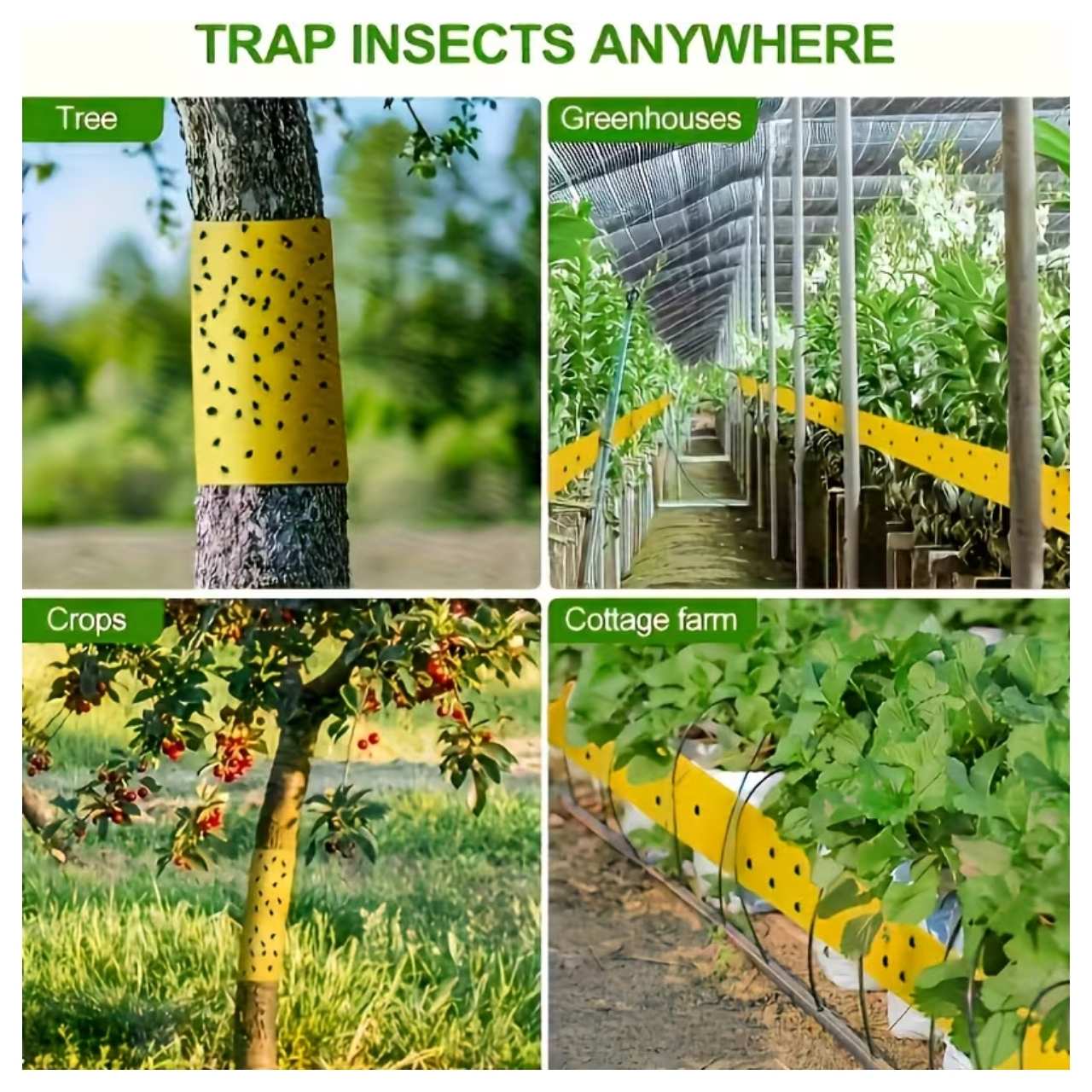 Zaščita dreves in rastlin na vrtu
