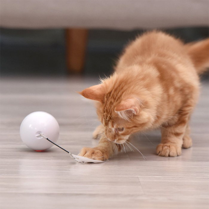 CatToy, igrača za mačko, ki beži in maha s peresom - Image 2