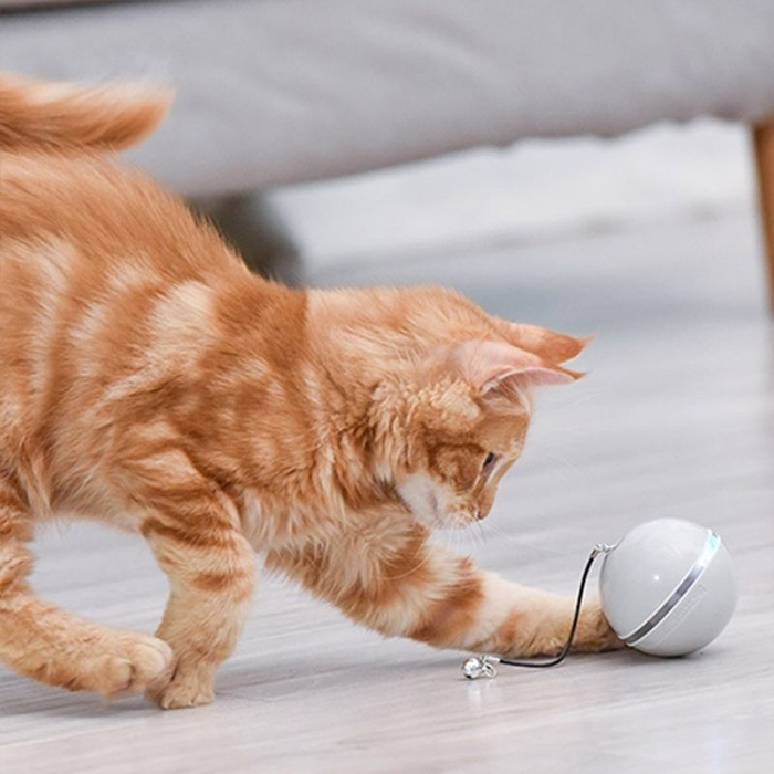 CatToy, igrača za mačko, ki beži in maha s peresom - Image 3