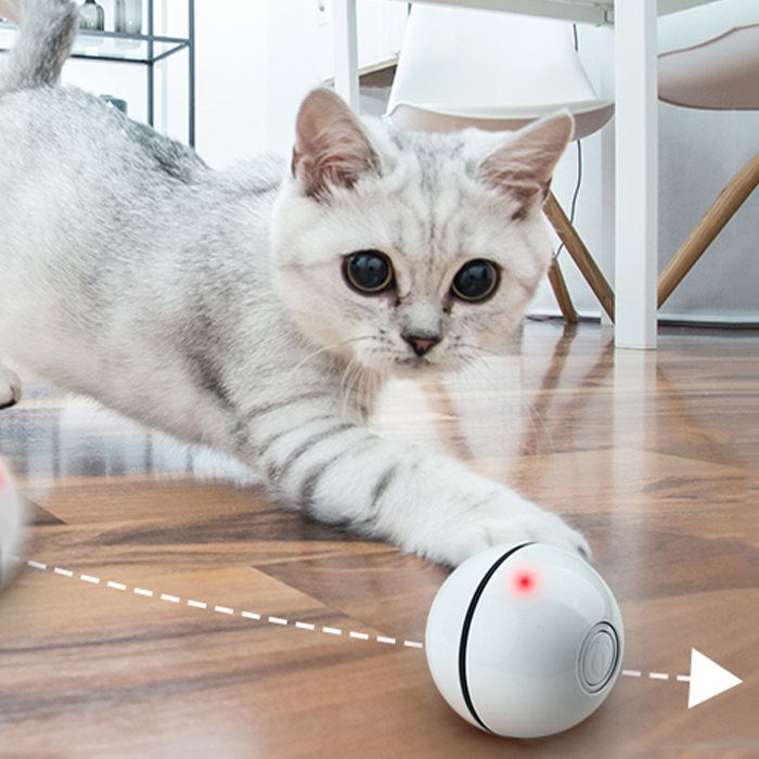 CatToy, igrača za mačko, ki beži in maha s peresom - Image 10