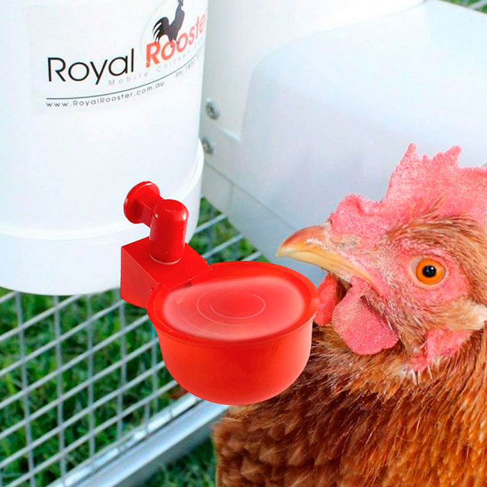 ChickenBowl, napajalnik za kokoši in ostalo perutnino (6 kosov) - Image 9