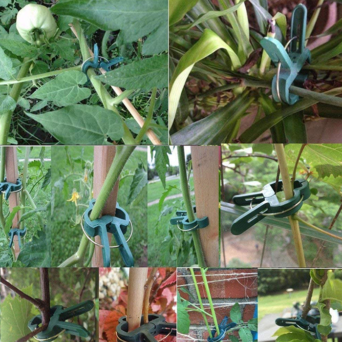 ClampsGarden, uporabne in trpežne objemke za raznovrstne rastline zunaj in notri (20 kos.) - Image 5