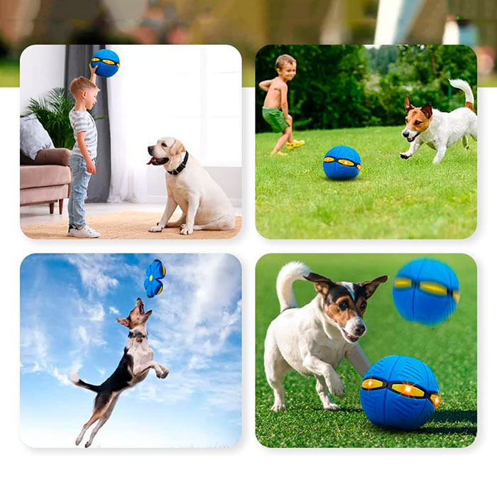 DiskBall, igrača za pse, ki je hkrati frizbi in žoga - Image 7