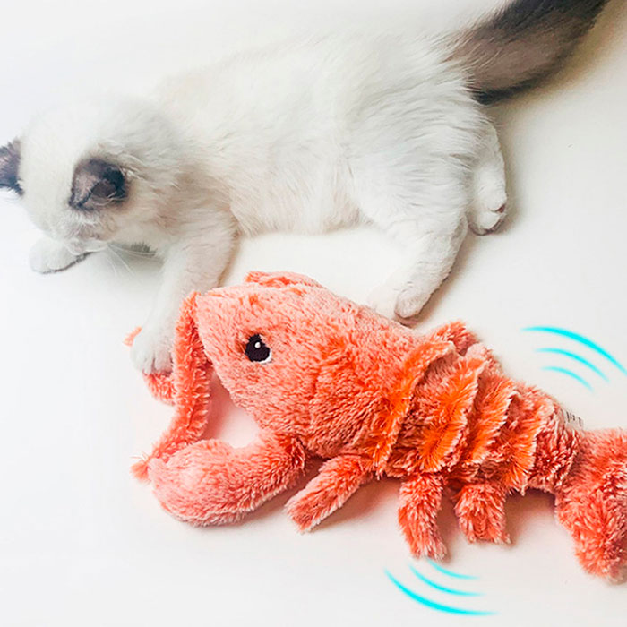 LobsterToy, interaktivna igrača za hišne ljubljenčke v obliki jastoga - Image 9