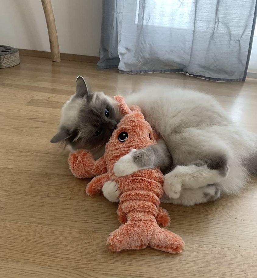 LobsterToy, interaktivna igrača za hišne ljubljenčke v obliki jastoga - Image 10