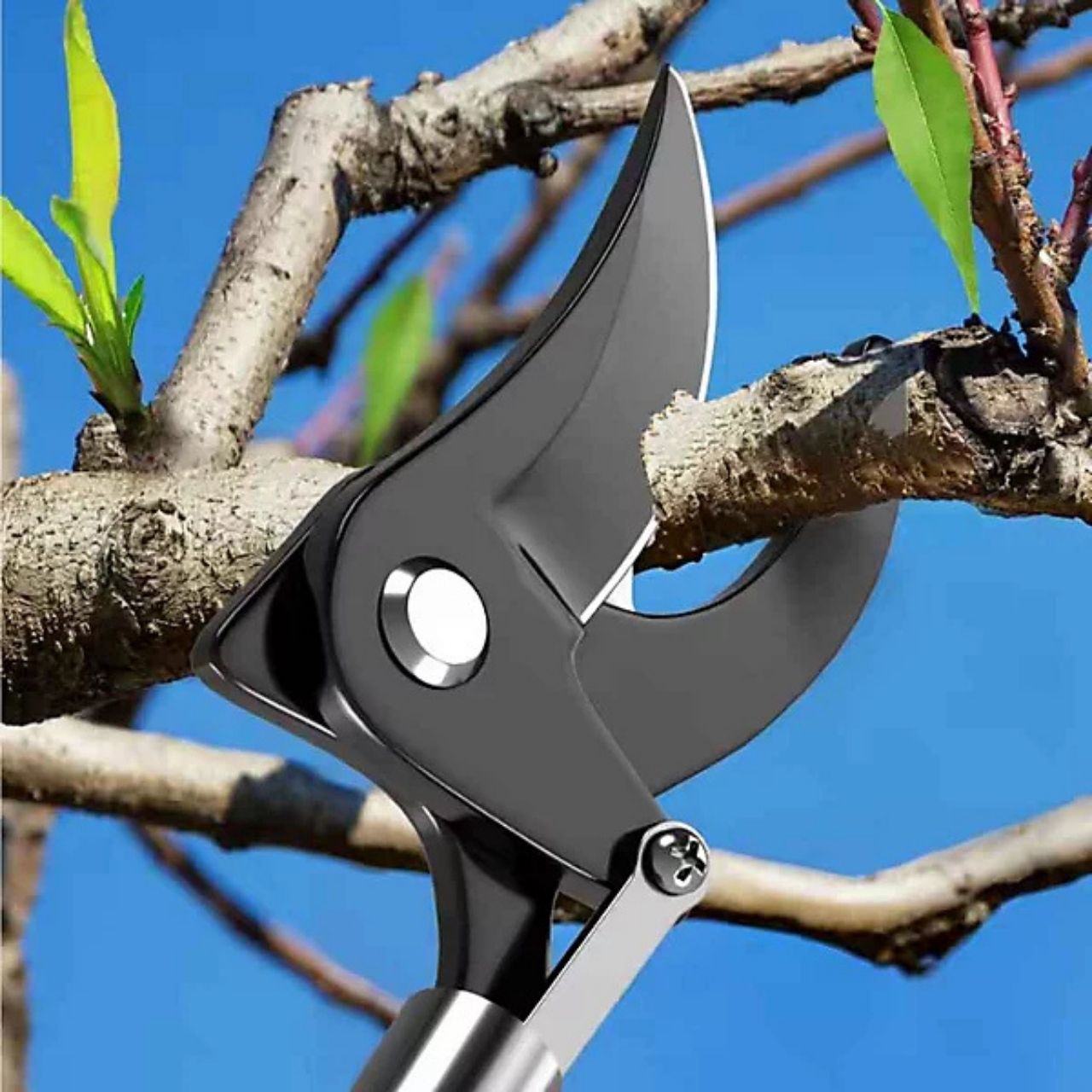 LongShears, škarje za veje - Image 2