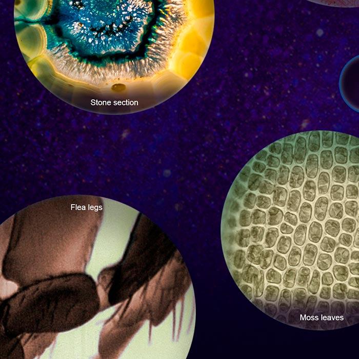 MicroscopeKit, prenosni otroški mikroskop - Image 9