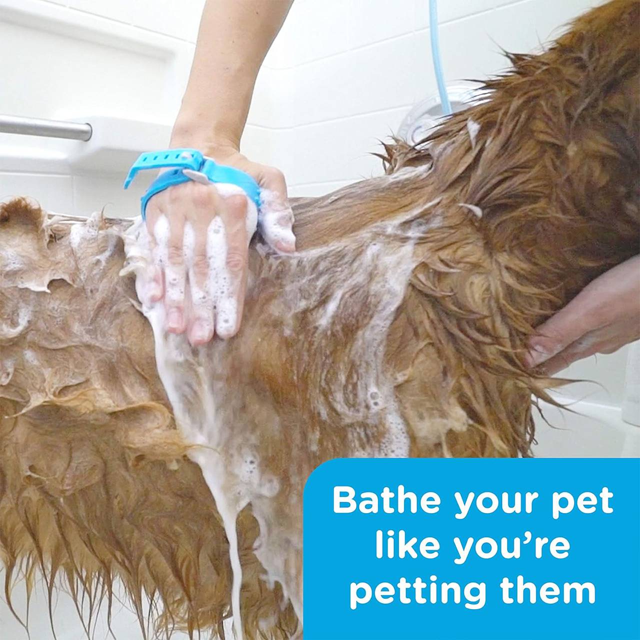 PawBath, večnamenska masažna krtača za kopanje hišnih ljubljenčkov - Image 6