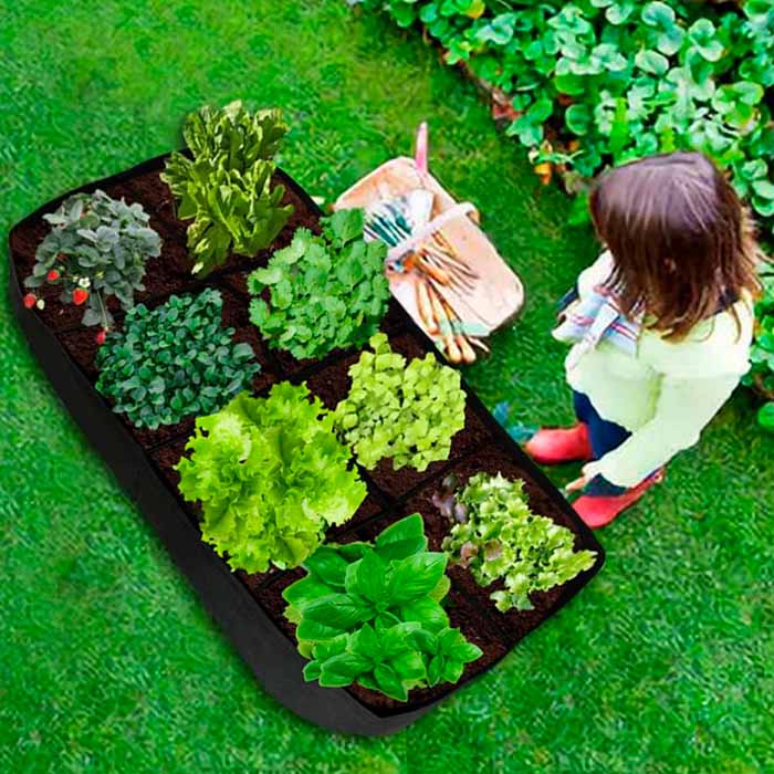 RaisedGarden, prenosna vrtna greda z 8 ločenimi predeli - Image 5