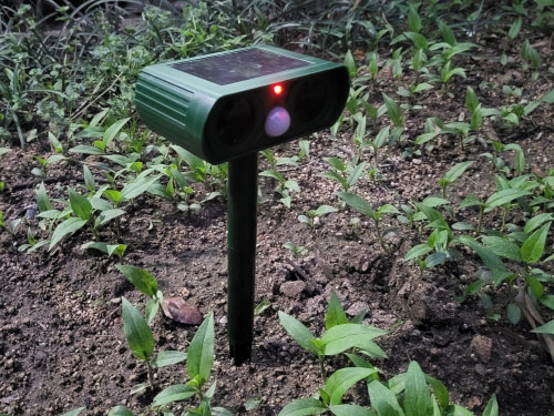 RepellentSensor, solarni odganjalec živali in vrtnih škodljivcev - Image 10