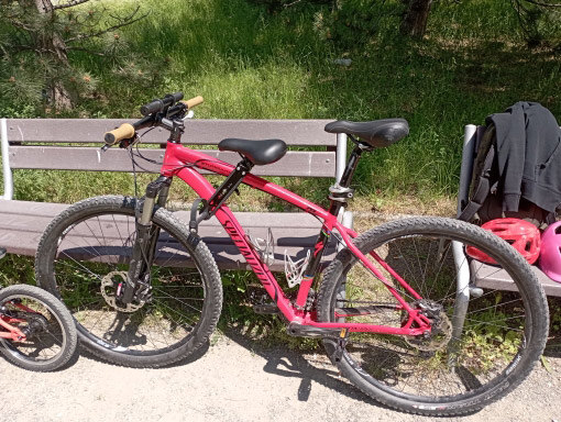 RideSeat, otroški kolesarski sedež - Image 10