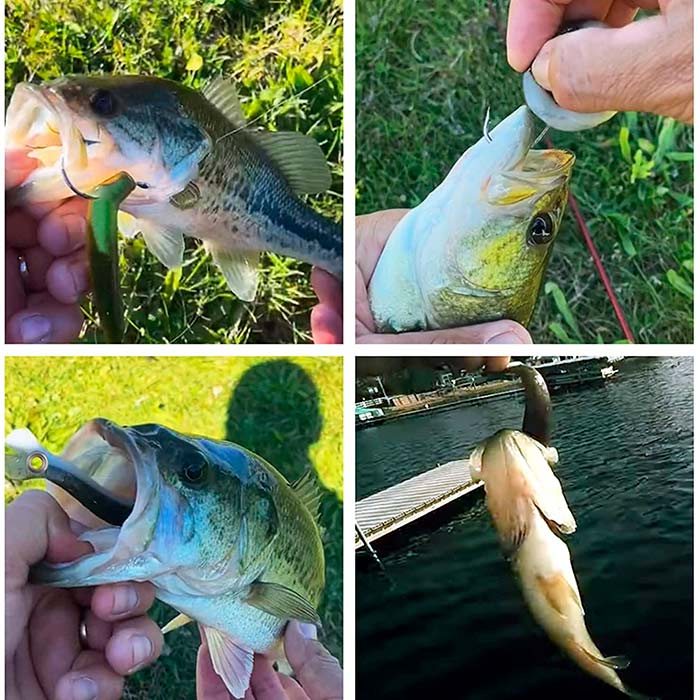 SoftLures, vaba za ribe (5 kosov) - Image 6