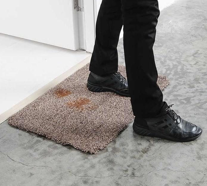 SuperStep, preproga, ki očisti podplate in tačke samo z enim korakom - Image 7